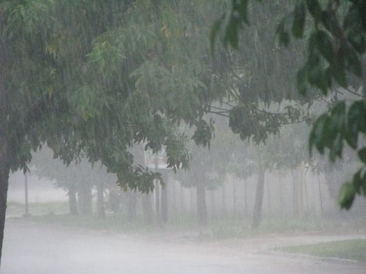 La zona norte de la provincia la más afectada por la abundantes lluvias 