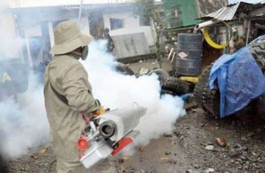 Dengue: los repelentes y la limpieza, armas contra la enfermedad