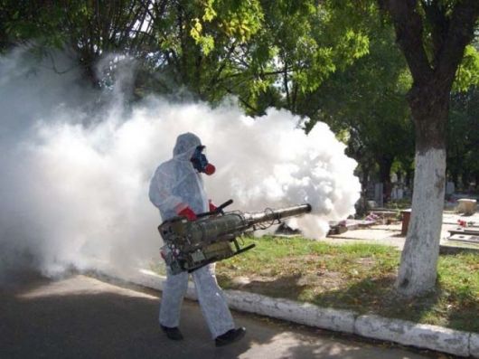Dengue: creció un 24 por ciento la cantidad de infectados en el país