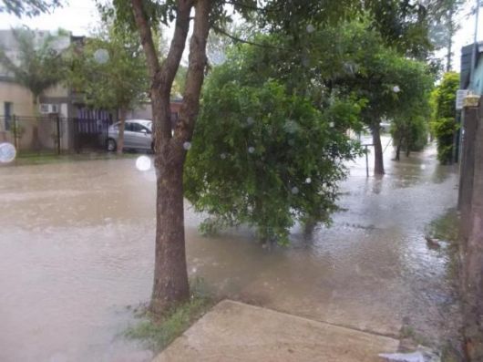 Tras lluvia torrencial, la Provincia asiste a 320 familias afectadas en Virasoro