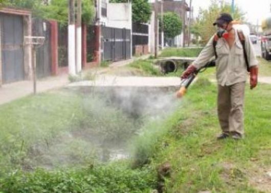 Dos nuevos casos probables de dengue se registraron en la capital