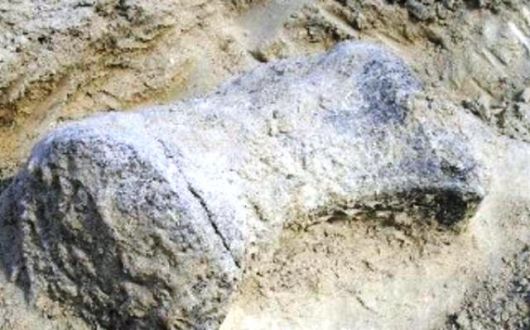 Toropí, una reserva con fósiles de más de 30 mil años