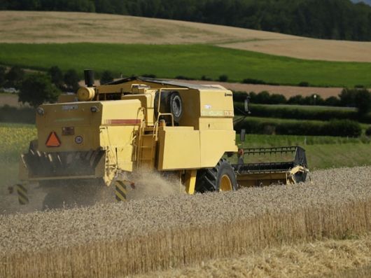 El Gobierno Nacional aplicó la Ley de Abastecimiento al trigo