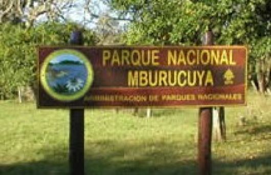 En el Parque Nacional Mburucuyá ya detectaron 86 especies ícticas