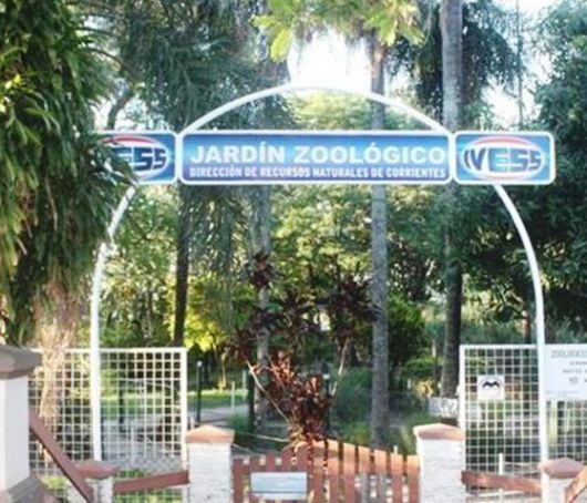 El Zoológico de la Costanera dice adiós tras más de 20 años