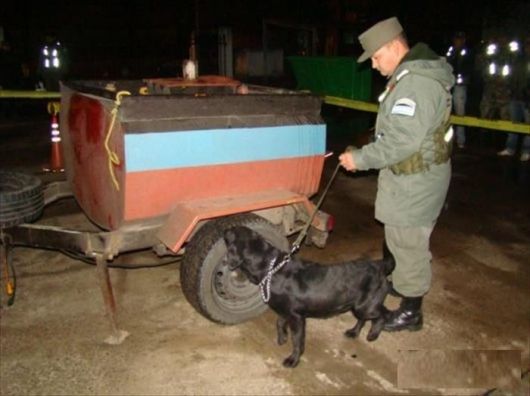Secuestran más de 535 kilos de droga en el puente Belgrano