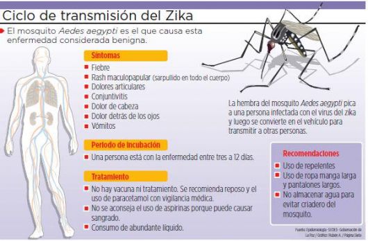 Zika: mucha preocupación, poca ocupación