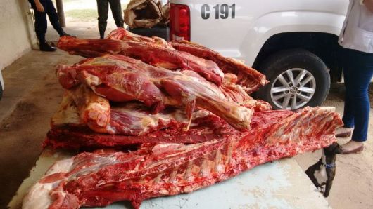 Decomisan 140 kilos de carne