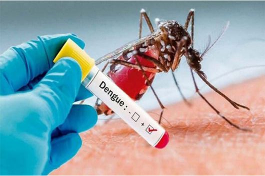 Confirman el Primer caso de  dengue en Bella Vista